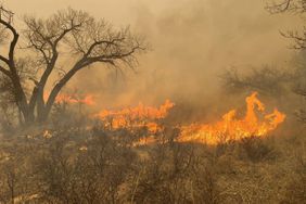 A fast-moving wildfire burning through the Texas Panhandle region in Texas, United States on February 29, 2024. The US state of Texas issued a disaster declaration as massive wildfires continued to burn out of control, forcing thousands of residents to evacuate their homes.