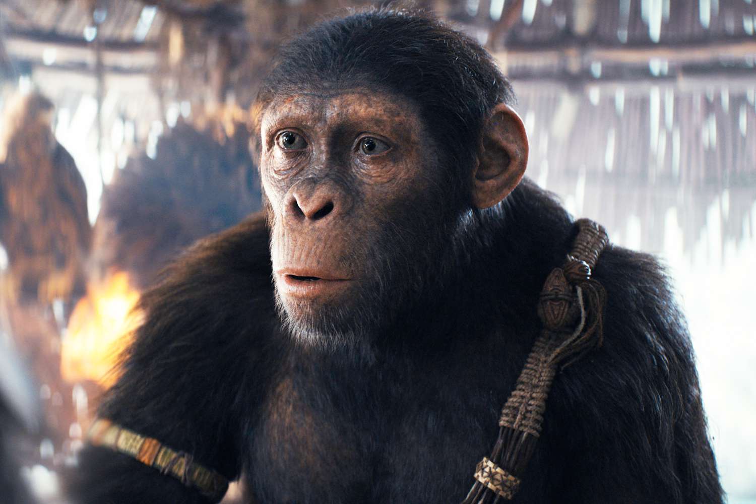 Noa (played by Owen Teague) in 20th Century Studios' KINGDOM OF THE PLANET OF THE APES. Photo courtesy of 20th Century Studios