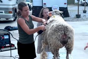 Jana Duggar Gives Rare Update in Farm Life Video