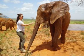 Kristin Davis and elephants from Sheldrick Wildlife Trust.