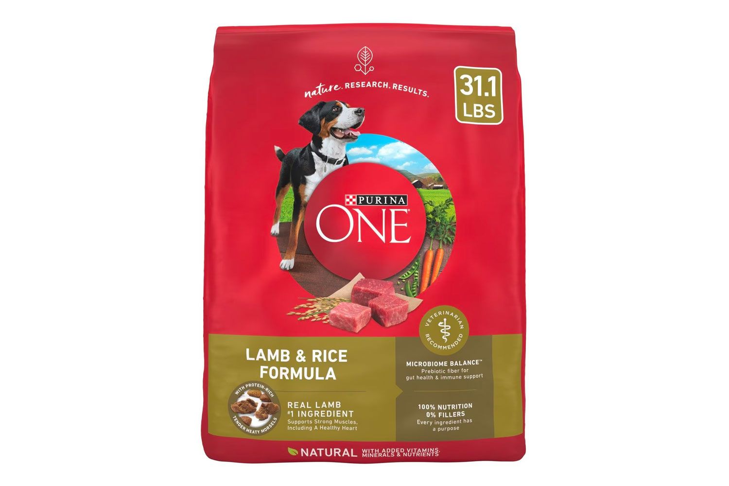 Purina ONE Natural SmartBlend Lamb & Rice Formula Dry Dog Food