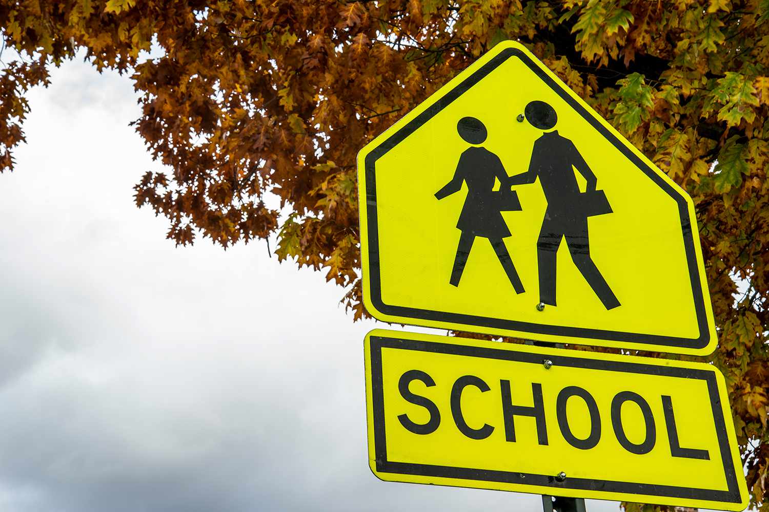 A view of school road sign.