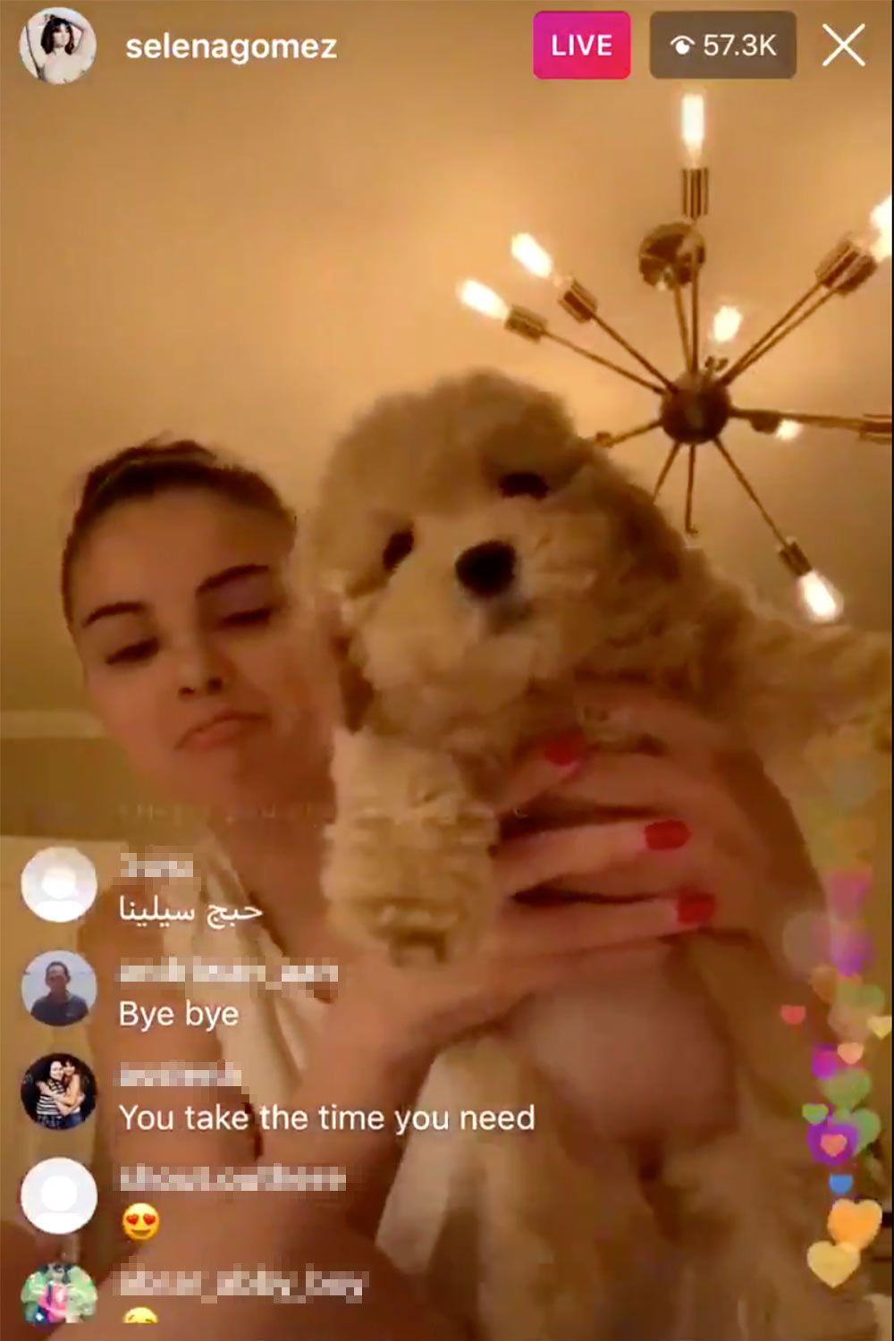 Selena Gomez new puppy