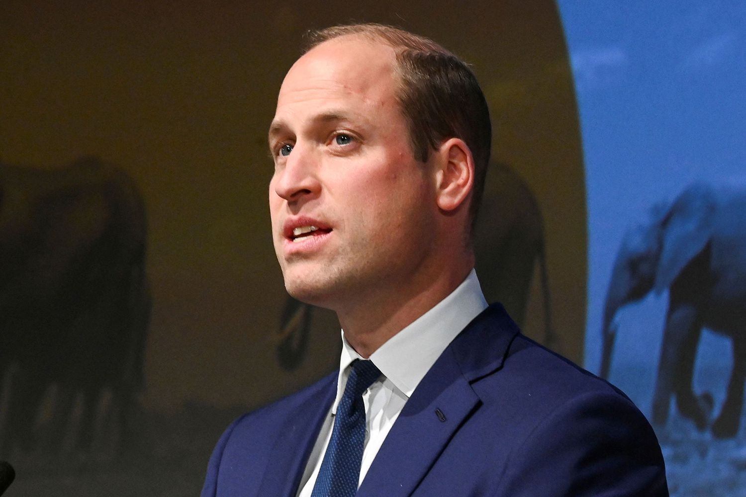 Prince William, Duke of Cambridge delivers a speech during The Tusk Conservation Awards ceremony in London