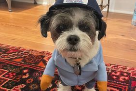 Judy Greer - Celeb Pets Halloween Costumes