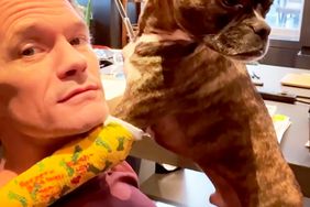 Neil Patrick Harris’ Dog Gets Leg Cast After Breaking Toe