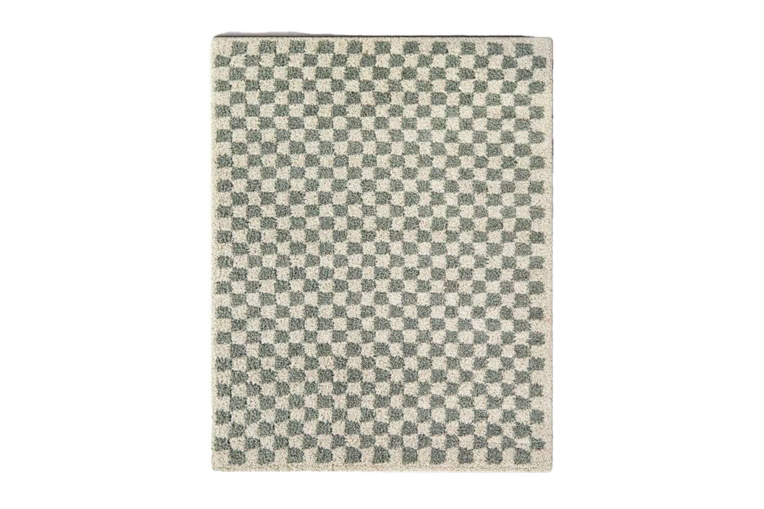 AllModern Walker Checkered Shag Area Rug