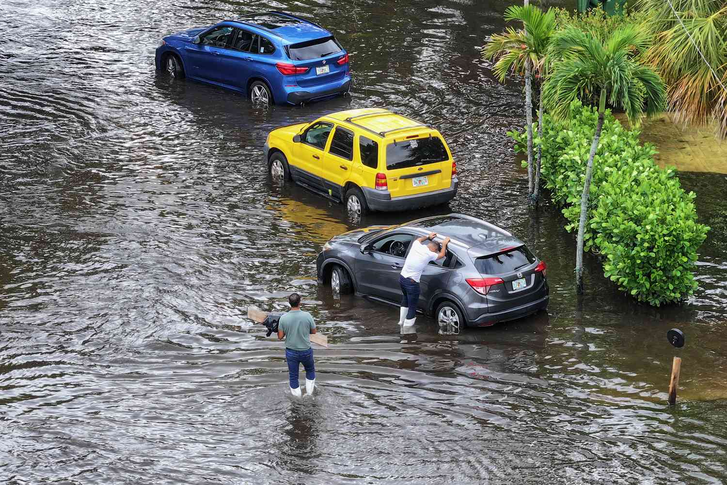 Cars standing floodwaters in South Florida on June 13, 2024