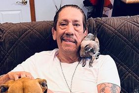 Danny Trejo Remembers Beloved Chihuahua Dixi