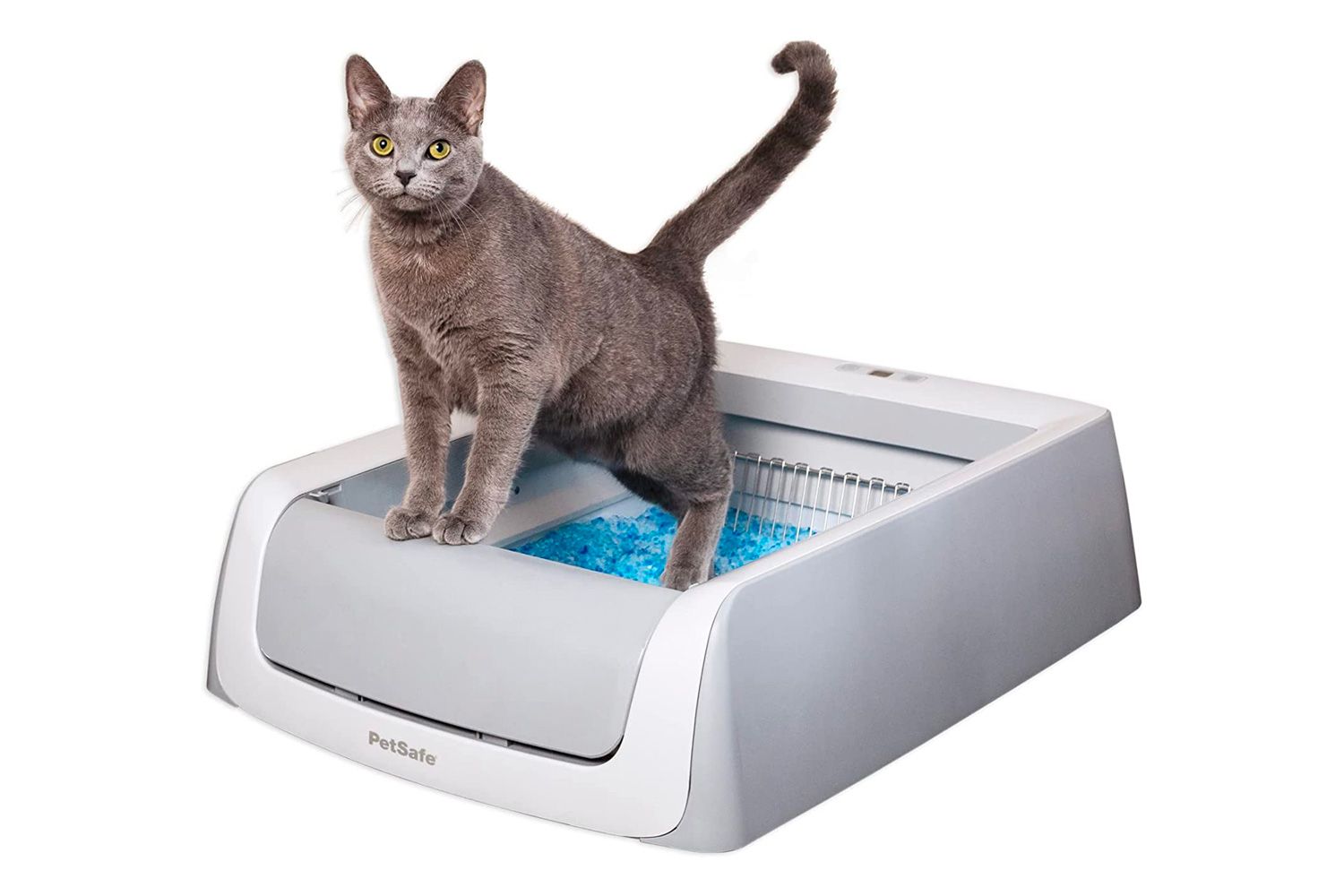 PetSafe ScoopFree Complete Plus Self-Cleaning Litterbox