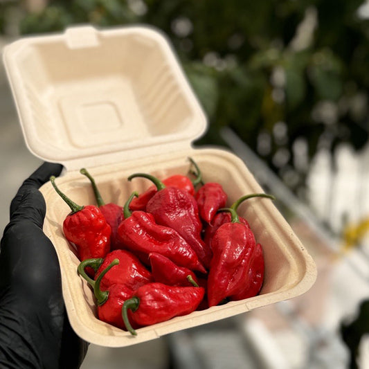 Ghost Fresh Peppers in Carton