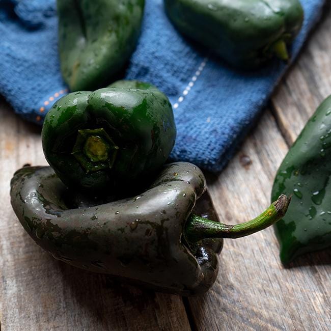 Ancho Poblano Pepper Seeds Novelty