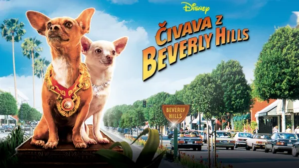 thumbnail - Čivava z Beverly Hills