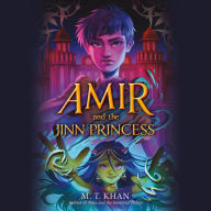 Amir and the Jinn Princess