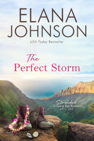Title: The Perfect Storm: A McLaughlin Sisters Novel, Author: Elana Johnson