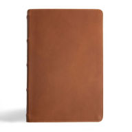 Title: CSB Men's Daily Bible, Brown Genuine Leather, Indexed, Author: Robert Wolgemuth