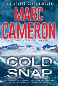 Cold Snap (Arliss Cutter Series #4)