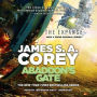 Abaddon's Gate (Expanse Series #3)