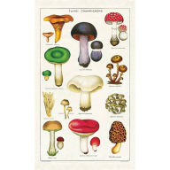 Title: Mushroom Tea Towel