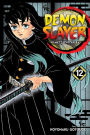 Demon Slayer: Kimetsu no Yaiba, Vol. 12