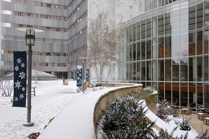 Winter in Rochester: A research fellow captures his first experience with snow