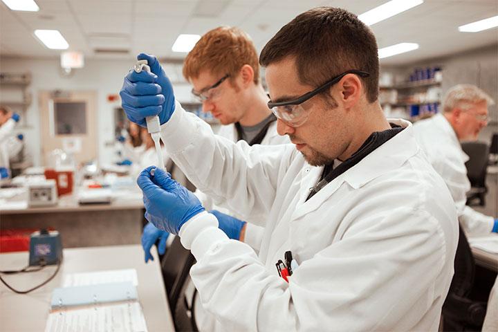 Mayo Clinic health sciences students working with laboratory specimens