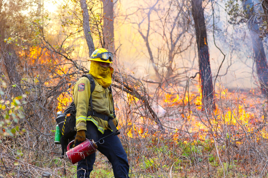 firefighter near a prescribed fire