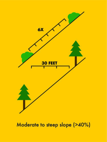 Steep-slope tree and shrub spacing rendering