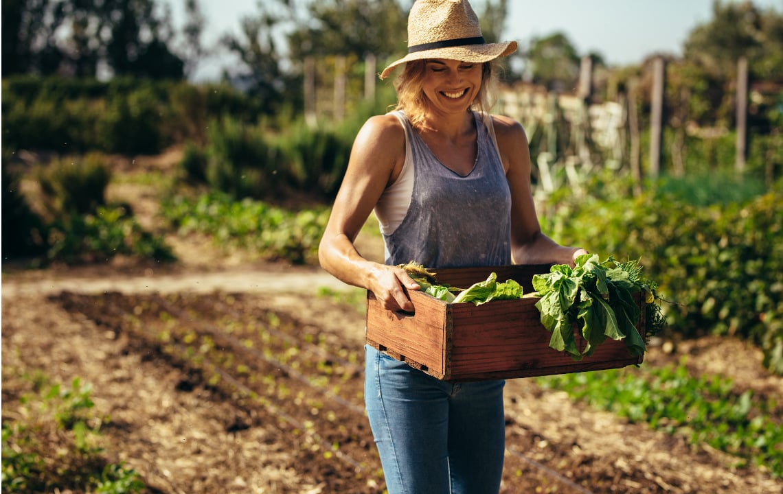 Embrace the Garden Mess: The HowTos and Benefits of NoTill Gardening