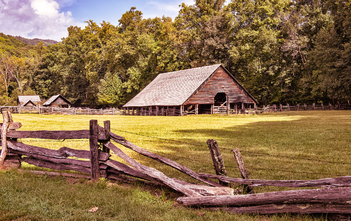 Uncle Abe's Farm