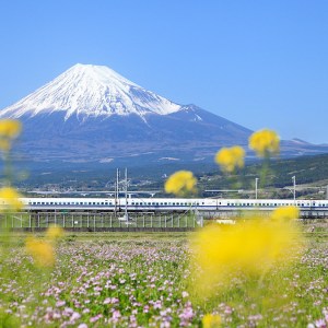 Shinkansen by Mount Fuji, Japan