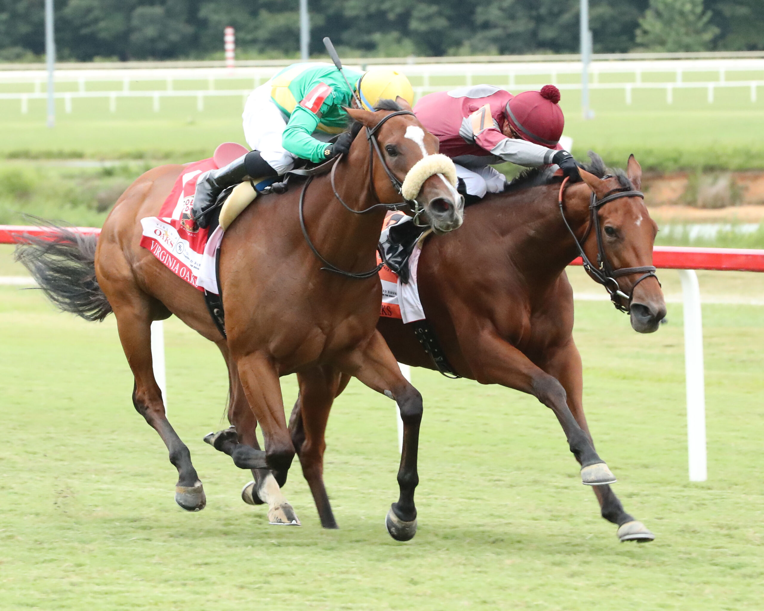 Style Points (outside) and Deep Satin dead-heated for the win in the $250,000 Woodford Reserve Virginia Oaks on Sept. 7 at Colonial Downs. Photo credit: Coady Media