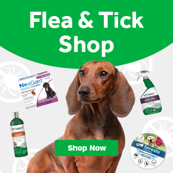 Flea and Tick Shop