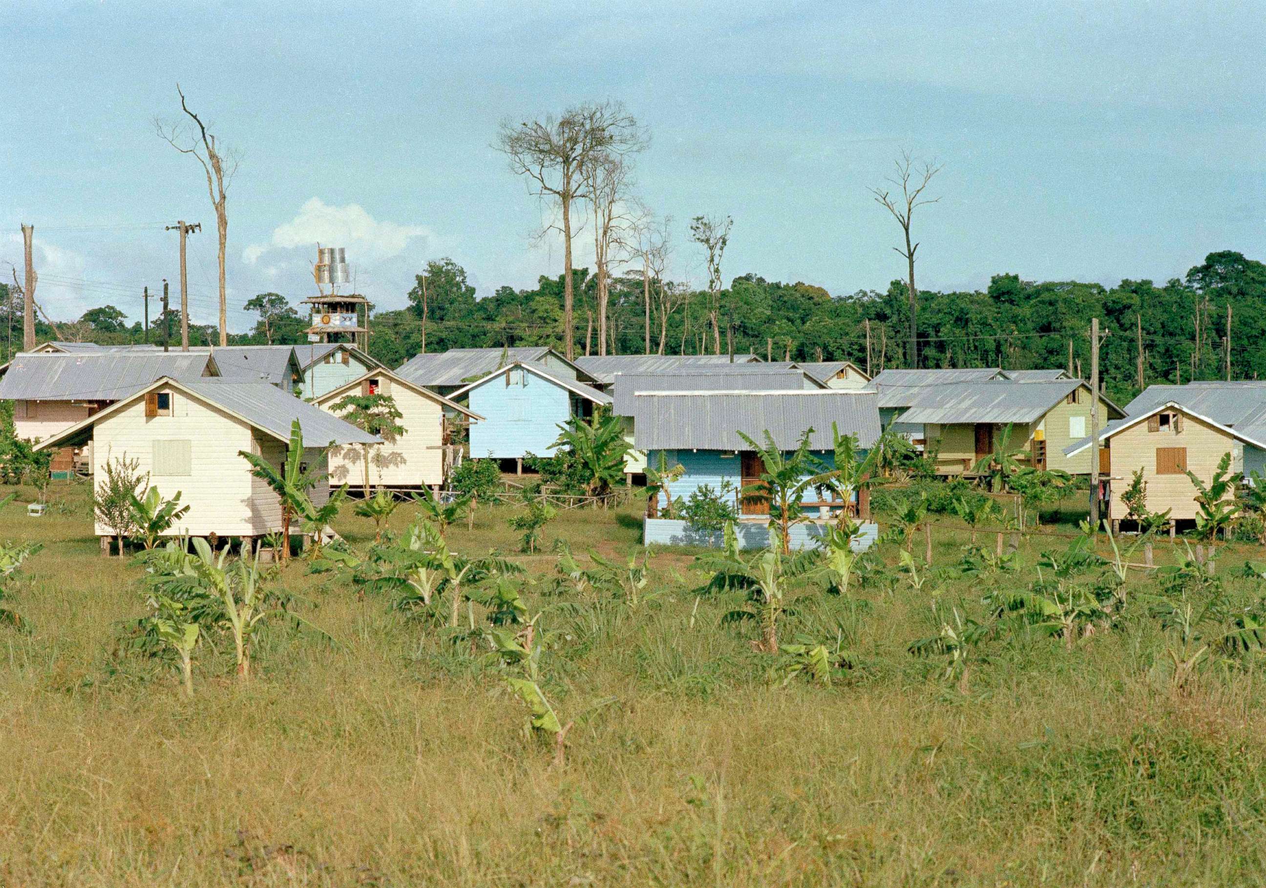 PHOTO: The cabins for members of the Peoples Temple cult are seen in Jonestown, Guyana, 1978.