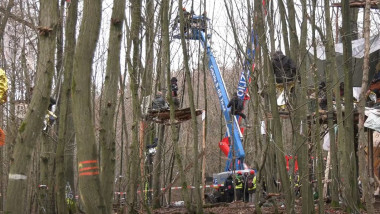 ecologisti germani se opun defrisarii unei paduri