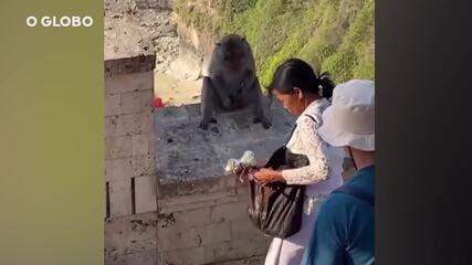 Macacos roubam turistas em templo na Indonésia e usam itens como ‘moeda de troca’