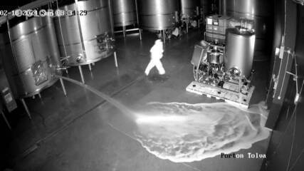 Homem abre tanques de vinho em vinícola da Espanha, derrama '80 mil garrafas'