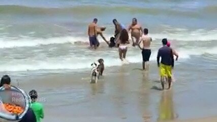 Mulher é atacada na mesma praia de Pernambuco onde adolescente foi mordido por tubarão um