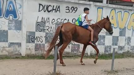 Menino de 11 anos viraliza indo para escola de cavalo