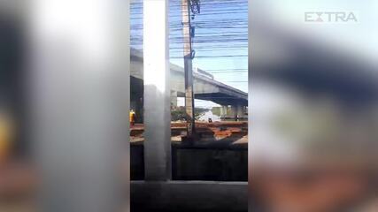 Trens do ramal Saracuruna têm circulação suspensa em 11 estações