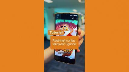 'Jogo do Tigrinho' no Instagram: como evitar seguidores falsos e spam no app