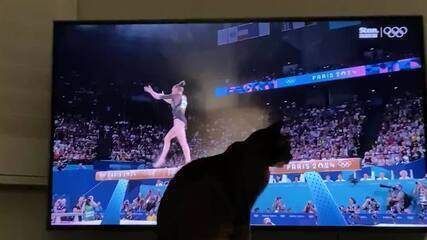 Paris-2024: Gato 'salva' ginasta e vídeo viraliza