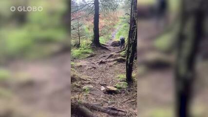 Tempestade Babet: homem filma ventos levantando chão de floresta na Escócia