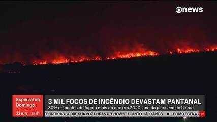 Três mil focos de incêndio devastam o Pantanal