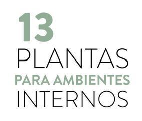 13 plantas para ambientes internos