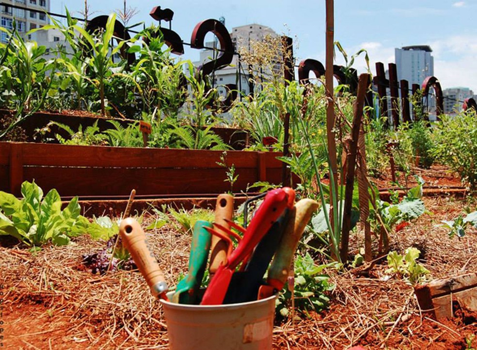 Uma horta comunitária promove ingredientes frescos e aproxima os condôminos entre si e também da natureza. Na foto, horta do Centro Cultural São Paulo (CCSP) — Foto: Pop Lopes Fotografia / Divulgação