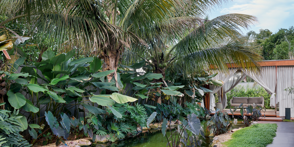 Natureza é onipresente em casa de 535 m² com lago ornamental