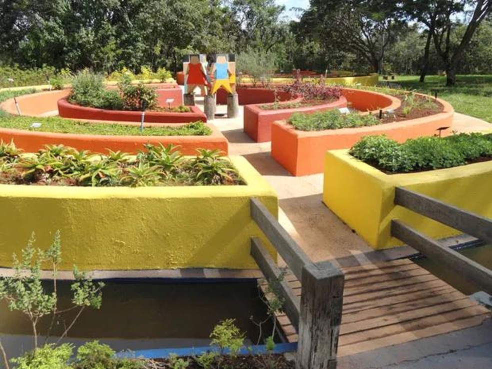 Jardim sensorial no Jardim Botânico de Brasília. Foto: Divulgação/Reprodução — Foto: Casa Vogue