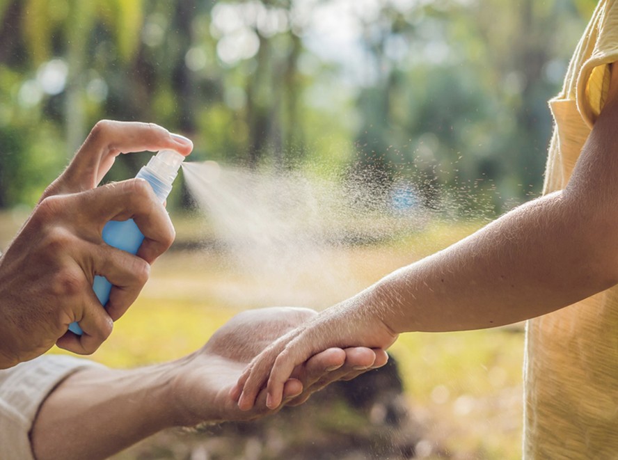 6 repelentes para proteger a casa do mosquito da dengue