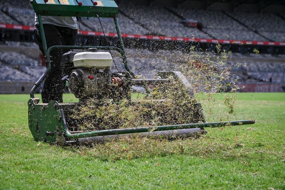 Mineirão tem dois tipos de grama em seu campo — Foto: Reprodução/Instagram/@mineirao